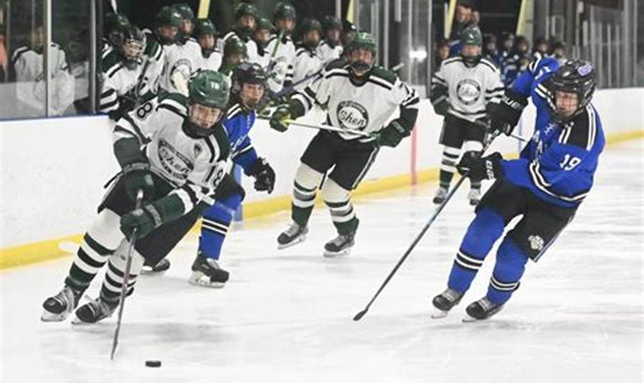 Upstate NY Section 2 Hockey: Teams, Scores & More Your Ultimate Source for Hockey Updates, Training Guides, and Equipment Recommendations Upstate NY Section 2 Hockey: Teams, Scores & More | Your Ultimate Source for Hockey Updates, Training Guides, and Equipment Recommendations