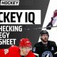 Boost Your Game: Hockey IQ Explained + Tips | Your Ultimate Source for Hockey Updates, Training Guides, and Equipment Recommendations