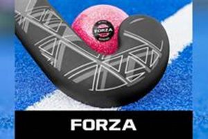 Field Hockey Ball Hardness: Is It Tough Enough? Your Ultimate Source for Hockey Updates, Training Guides, and Equipment Recommendations Field Hockey Ball Hardness: Is It Tough Enough? | Your Ultimate Source for Hockey Updates, Training Guides, and Equipment Recommendations