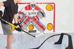 Power Up: Ice Hockey Off Ice Training Equipment Guide | Your Ultimate Source for Hockey Updates, Training Guides, and Equipment Recommendations
