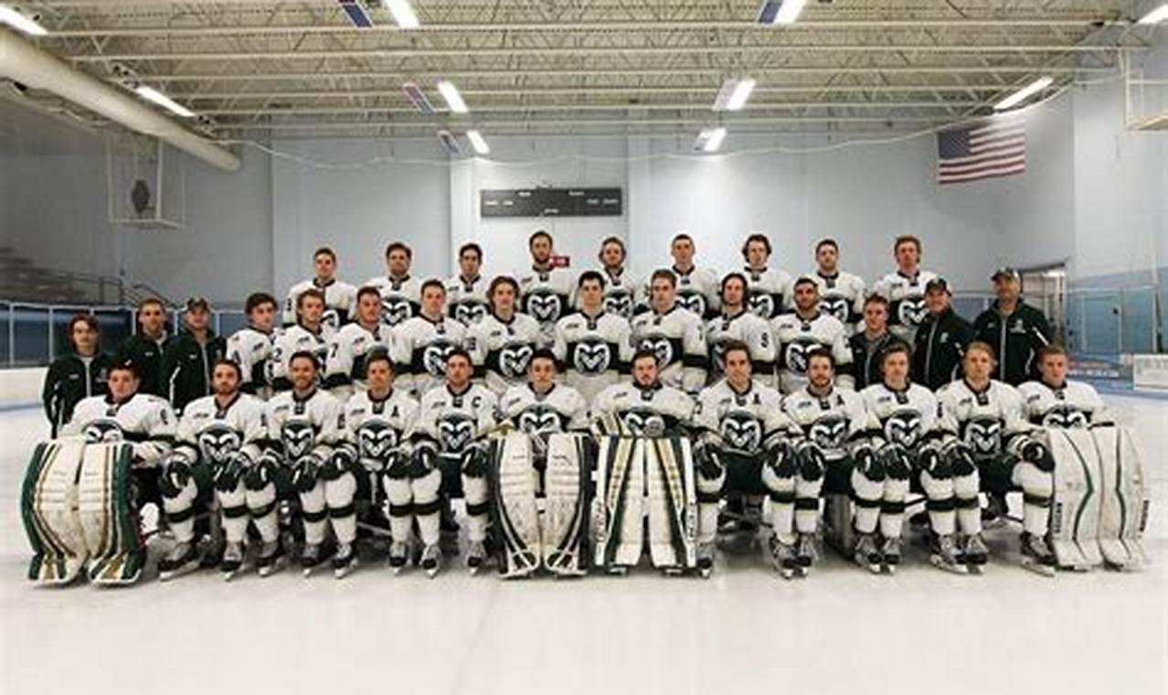Official CSU Hockey Roster: 2024 Team & More | Your Ultimate Source for Hockey Updates, Training Guides, and Equipment Recommendations