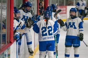 Guide to MN Regions Hockey Leagues + Teams! | Your Ultimate Source for Hockey Updates, Training Guides, and Equipment Recommendations