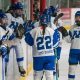 Guide to MN Regions Hockey Leagues + Teams! | Your Ultimate Source for Hockey Updates, Training Guides, and Equipment Recommendations