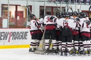 Your Guide to New Prague Hockey Rink: Ice & More | Your Ultimate Source for Hockey Updates, Training Guides, and Equipment Recommendations