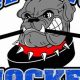Cool Ice Dawgs Hockey: Team Info & More! | Your Ultimate Source for Hockey Updates, Training Guides, and Equipment Recommendations