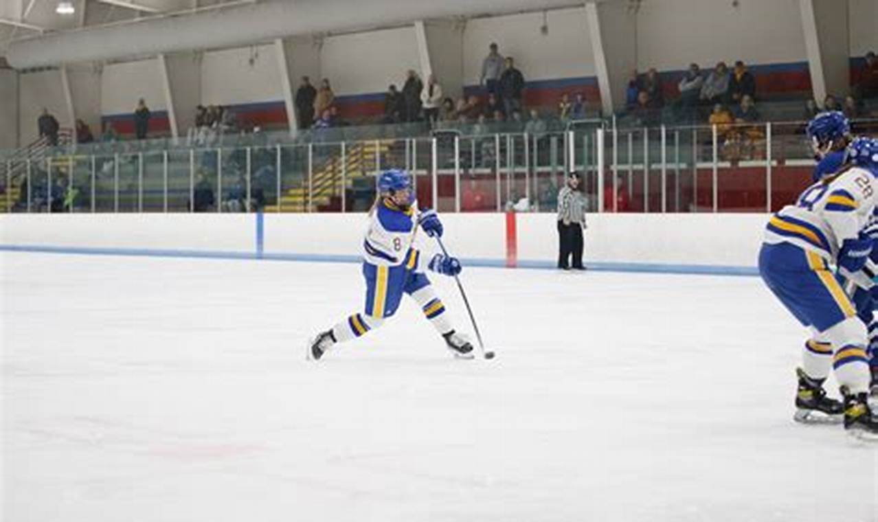 WNE Hockey Roster: Lineup, Stats & More 2024 | Your Ultimate Source for Hockey Updates, Training Guides, and Equipment Recommendations