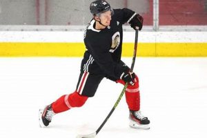 Best Front Row Sports Ice Hockey Seats: The Ultimate View! Your Ultimate Source for Hockey Updates, Training Guides, and Equipment Recommendations Best Front Row Sports Ice Hockey Seats: The Ultimate View! | Your Ultimate Source for Hockey Updates, Training Guides, and Equipment Recommendations