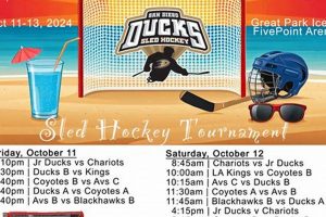 Get Ready! Beach Bash Hockey Tournament Fun Fest! | Your Ultimate Source for Hockey Updates, Training Guides, and Equipment Recommendations