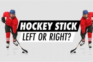 Left Right Hockey Stick: Growth Strategies & Analysis | Your Ultimate Source for Hockey Updates, Training Guides, and Equipment Recommendations