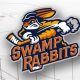 Swamp Rabbits Hockey Roster: Latest Team & Players | Your Ultimate Source for Hockey Updates, Training Guides, and Equipment Recommendations