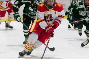Bergen Catholic Ice Hockey: Crusader Ice Dominance | Your Ultimate Source for Hockey Updates, Training Guides, and Equipment Recommendations
