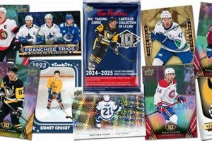 Collecting 2024 Hockey Cards: Values, Sets & More | Your Ultimate Source for Hockey Updates, Training Guides, and Equipment Recommendations