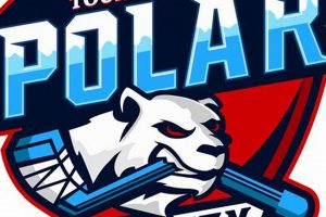 Big Bear Ice Hockey Tournaments: Your Best Event! | Your Ultimate Source for Hockey Updates, Training Guides, and Equipment Recommendations