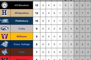 NESCAC Ice Hockey Standings: Updates & Analysis | Your Ultimate Source for Hockey Updates, Training Guides, and Equipment Recommendations