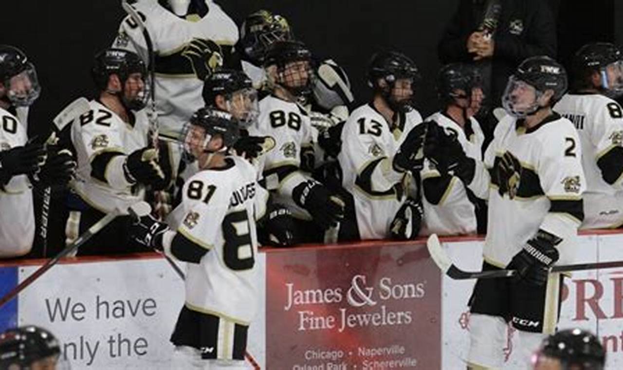 PNW Hockey: Purdue Northwest Pride on Ice! | Your Ultimate Source for Hockey Updates, Training Guides, and Equipment Recommendations