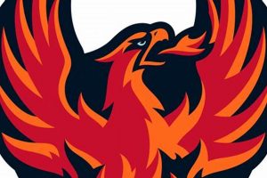 Firebirds Hockey Score: Updates, Results & More! | Your Ultimate Source for Hockey Updates, Training Guides, and Equipment Recommendations