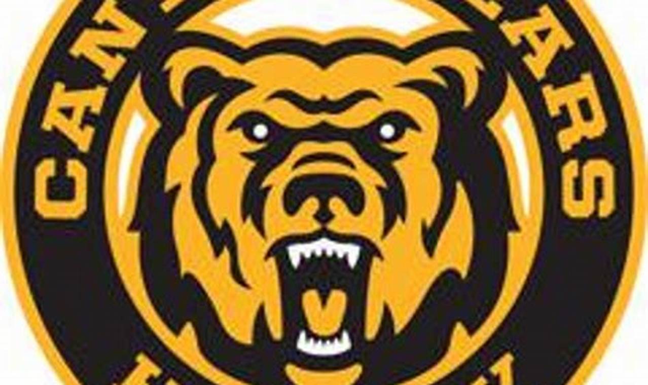 Canton Minor Hockey: Your Guide to Youth Ice Hockey! | Your Ultimate Source for Hockey Updates, Training Guides, and Equipment Recommendations