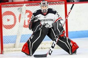 Find NCAA Hockey Jobs: Your Ice Hockey Career Path | Your Ultimate Source for Hockey Updates, Training Guides, and Equipment Recommendations