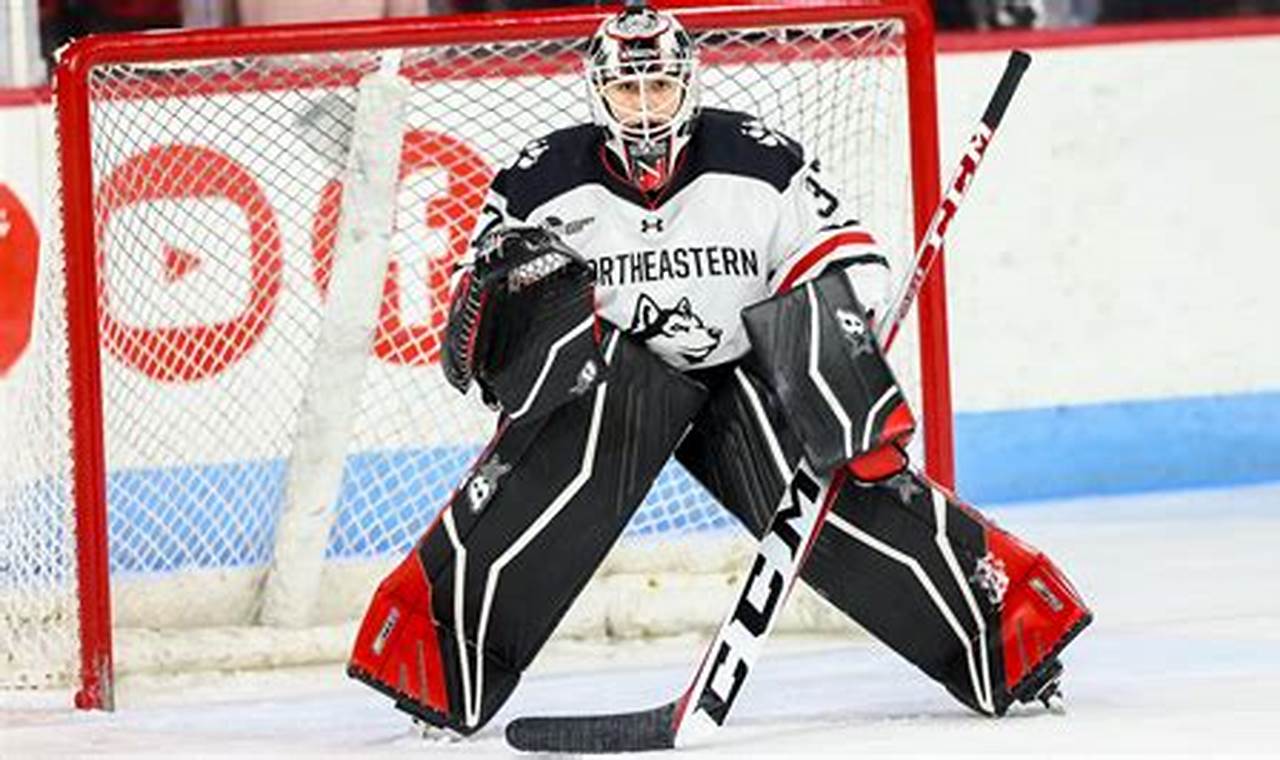 Find NCAA Hockey Jobs: Your Ice Hockey Career Path | Your Ultimate Source for Hockey Updates, Training Guides, and Equipment Recommendations