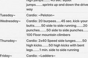 Boost Your Game: Field Hockey Workouts & Drills | Your Ultimate Source for Hockey Updates, Training Guides, and Equipment Recommendations