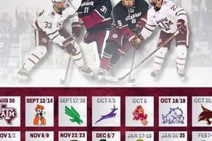 A&amp;M Hockey: Texas Aggies On Ice &amp; More! | Your Ultimate Source for Hockey Updates, Training Guides, and Equipment Recommendations