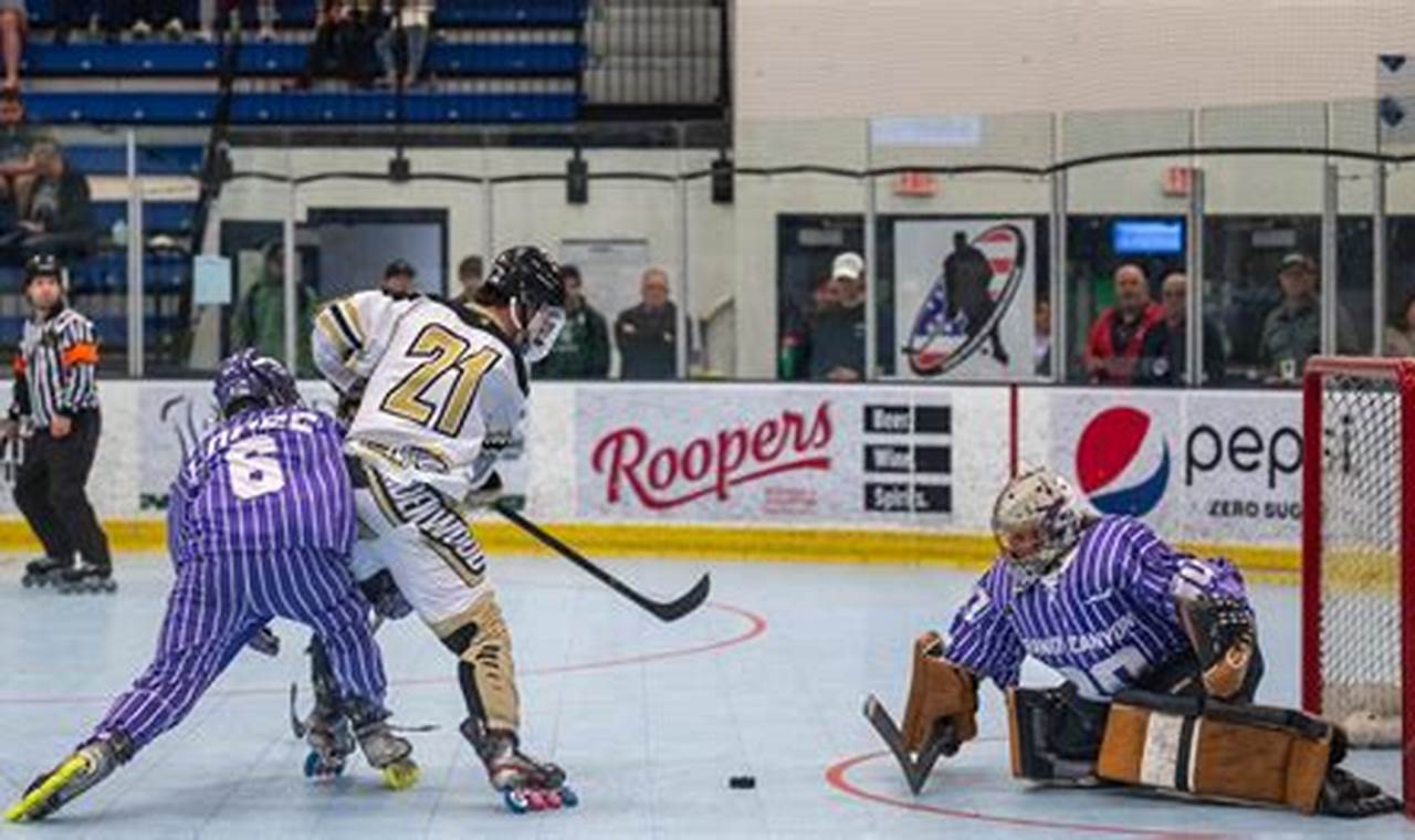 Lindenwood University Roller Hockey: The [Adjective] Program | Your Ultimate Source for Hockey Updates, Training Guides, and Equipment Recommendations