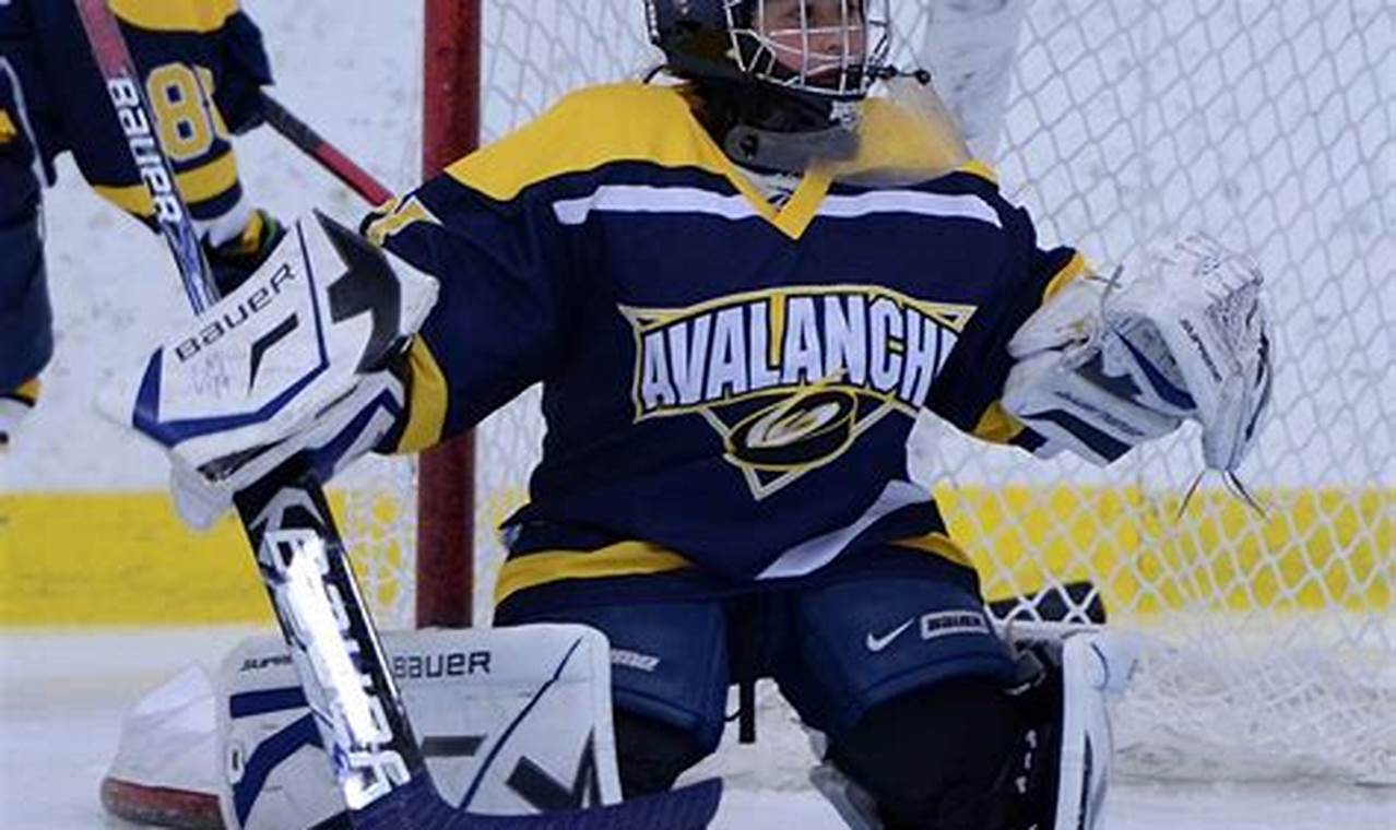 NJ Avalanche Hockey: Youth Hockey Excellence, NJ | Your Ultimate Source for Hockey Updates, Training Guides, and Equipment Recommendations