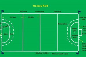 Understanding Hockey Ground Dimensions: A Complete Guide | Your Ultimate Source for Hockey Updates, Training Guides, and Equipment Recommendations