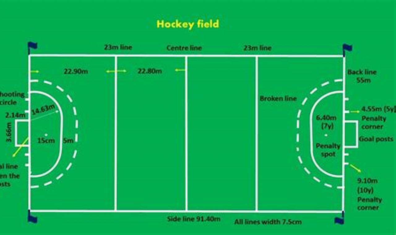 Understanding Hockey Ground Dimensions: A Complete Guide | Your Ultimate Source for Hockey Updates, Training Guides, and Equipment Recommendations