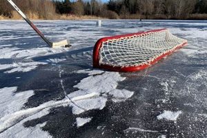 Best Pond Hockey Net: Guide & More! | Your Ultimate Source for Hockey Updates, Training Guides, and Equipment Recommendations