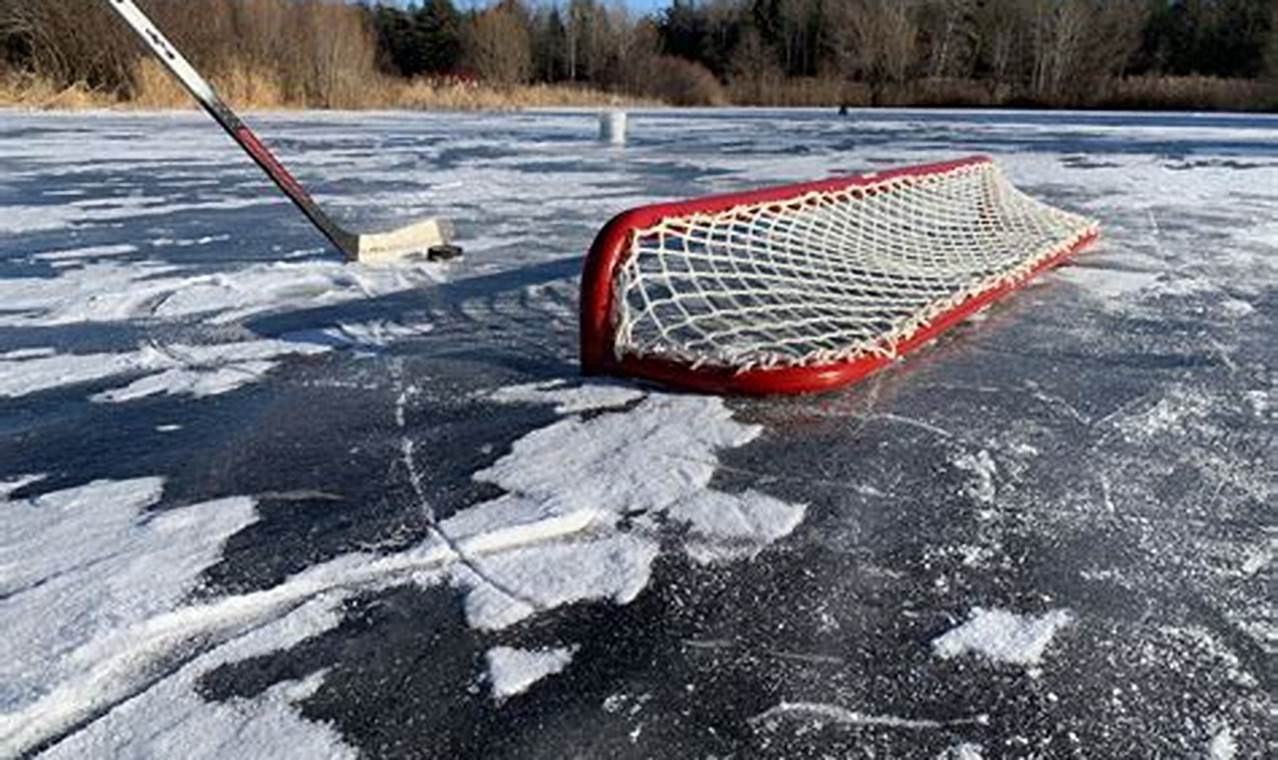 Best Pond Hockey Net: Guide & More! | Your Ultimate Source for Hockey Updates, Training Guides, and Equipment Recommendations