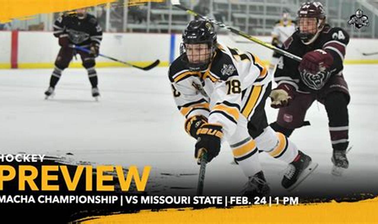 Discover Macha Hockey: Regional Field Hockey Fun! | Your Ultimate Source for Hockey Updates, Training Guides, and Equipment Recommendations