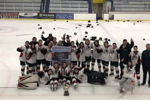 Quick Ice Breakers Hockey: Team Fun & Success | Your Ultimate Source for Hockey Updates, Training Guides, and Equipment Recommendations