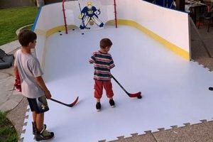 Learn Fake Ice Hockey: Skills & Drills on Any Surface | Your Ultimate Source for Hockey Updates, Training Guides, and Equipment Recommendations