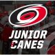 Carolina Jr. Hurricanes Hockey: NC Youth Hockey Excellence | Your Ultimate Source for Hockey Updates, Training Guides, and Equipment Recommendations