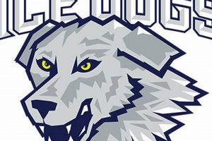 Vernon Hills Ice Dogs Hockey: Your Ultimate Guide! | Your Ultimate Source for Hockey Updates, Training Guides, and Equipment Recommendations