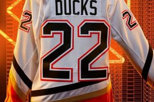 Unique Unusual Hockey Jerseys: Cool Designs & More! | Your Ultimate Source for Hockey Updates, Training Guides, and Equipment Recommendations