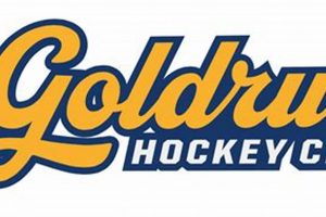 Unlock Goldrush Hockey: Speed & Skill on Ice! | Your Ultimate Source for Hockey Updates, Training Guides, and Equipment Recommendations