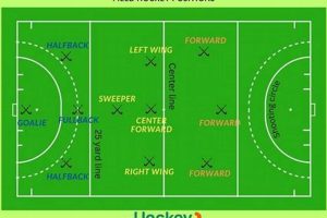 Mastering Hockey Positions on the Field: Roles & Strategy | Your Ultimate Source for Hockey Updates, Training Guides, and Equipment Recommendations