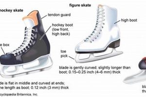 Figure vs. Hockey Skates: What's the Difference & Which Skate is Right? | Your Ultimate Source for Hockey Updates, Training Guides, and Equipment Recommendations