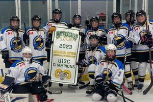 NorCal Hockey Guide: Teams, Leagues & Rinks Your Ultimate Source for Hockey Updates, Training Guides, and Equipment Recommendations NorCal Hockey Guide: Teams, Leagues & Rinks | Your Ultimate Source for Hockey Updates, Training Guides, and Equipment Recommendations