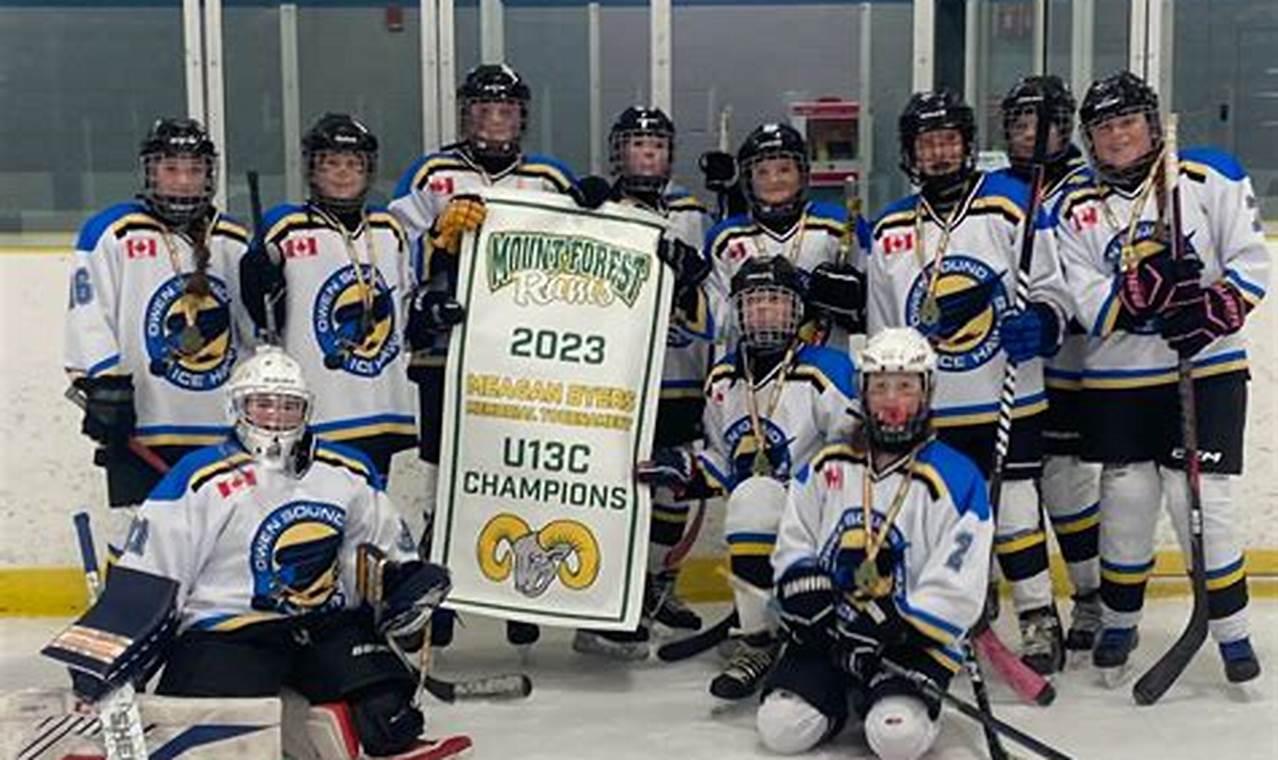 NorCal Hockey Guide: Teams, Leagues & Rinks Your Ultimate Source for Hockey Updates, Training Guides, and Equipment Recommendations NorCal Hockey Guide: Teams, Leagues & Rinks | Your Ultimate Source for Hockey Updates, Training Guides, and Equipment Recommendations