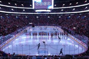 Unlock Pro Onyx Hockey Rink: Benefits & Setup! | Your Ultimate Source for Hockey Updates, Training Guides, and Equipment Recommendations