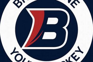 Brookline Youth Hockey: Learn to Play & Excel! Your Ultimate Source for Hockey Updates, Training Guides, and Equipment Recommendations Brookline Youth Hockey: Learn to Play & Excel! | Your Ultimate Source for Hockey Updates, Training Guides, and Equipment Recommendations