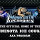 Watch Ice Cougars Hockey: Scores, Stats & More! | Your Ultimate Source for Hockey Updates, Training Guides, and Equipment Recommendations