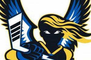 Valkyries Hockey: Norse Power on Ice! Your Ultimate Source for Hockey Updates, Training Guides, and Equipment Recommendations Valkyries Hockey: Norse Power on Ice! | Your Ultimate Source for Hockey Updates, Training Guides, and Equipment Recommendations