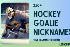 Goalie Nicknames: From "Brick Wall" to "Quickie" & Beyond! | Your Ultimate Source for Hockey Updates, Training Guides, and Equipment Recommendations