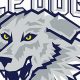 NJ Ice Dogs Hockey: Youth Program + Skill Development | Your Ultimate Source for Hockey Updates, Training Guides, and Equipment Recommendations