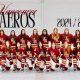 Aeros Ice Hockey: Pro Hockey Team History & Legacy | Your Ultimate Source for Hockey Updates, Training Guides, and Equipment Recommendations