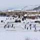 The Thrill of Colorado Pond Hockey: Outdoor Hockey Fun! | Your Ultimate Source for Hockey Updates, Training Guides, and Equipment Recommendations